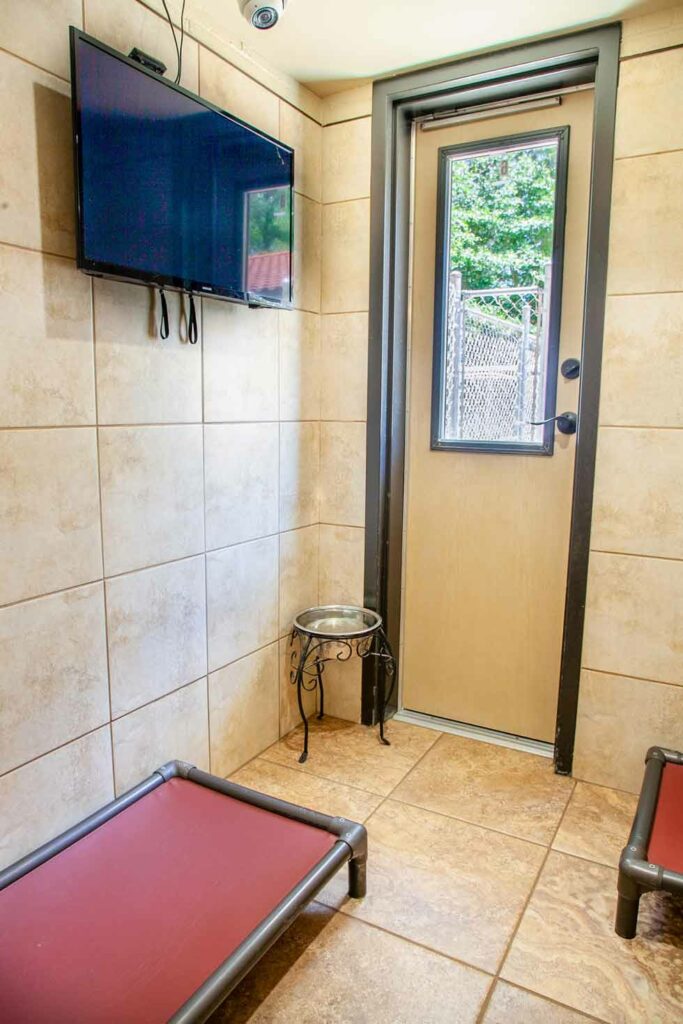 Vista Suite Blessed Oasis Pet Resort